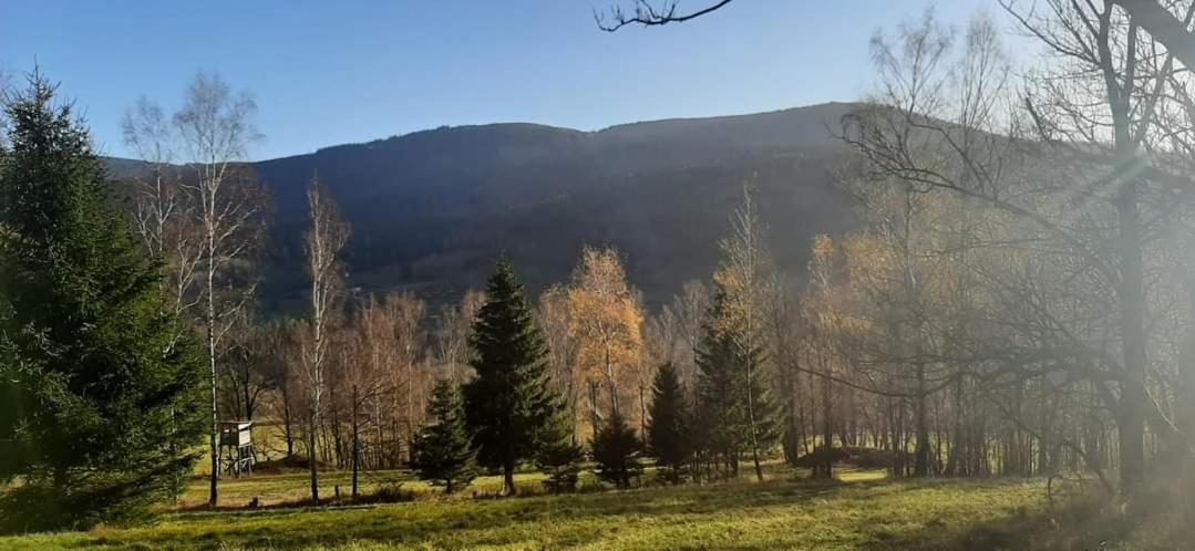 Zakatek Pod Lipka Lägenhet Stary Gieraltow Exteriör bild